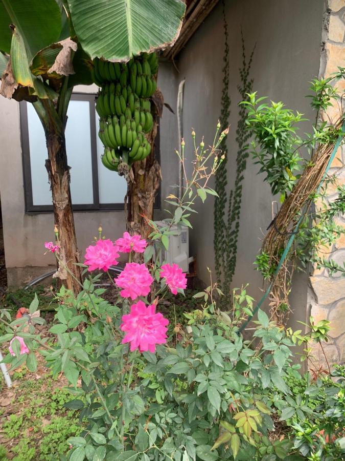 Trang An Peaceful Homestay نينه بينه المظهر الخارجي الصورة
